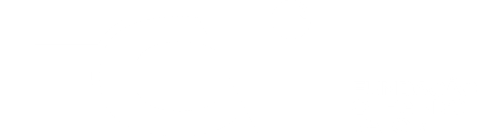 Logo FGV Experience